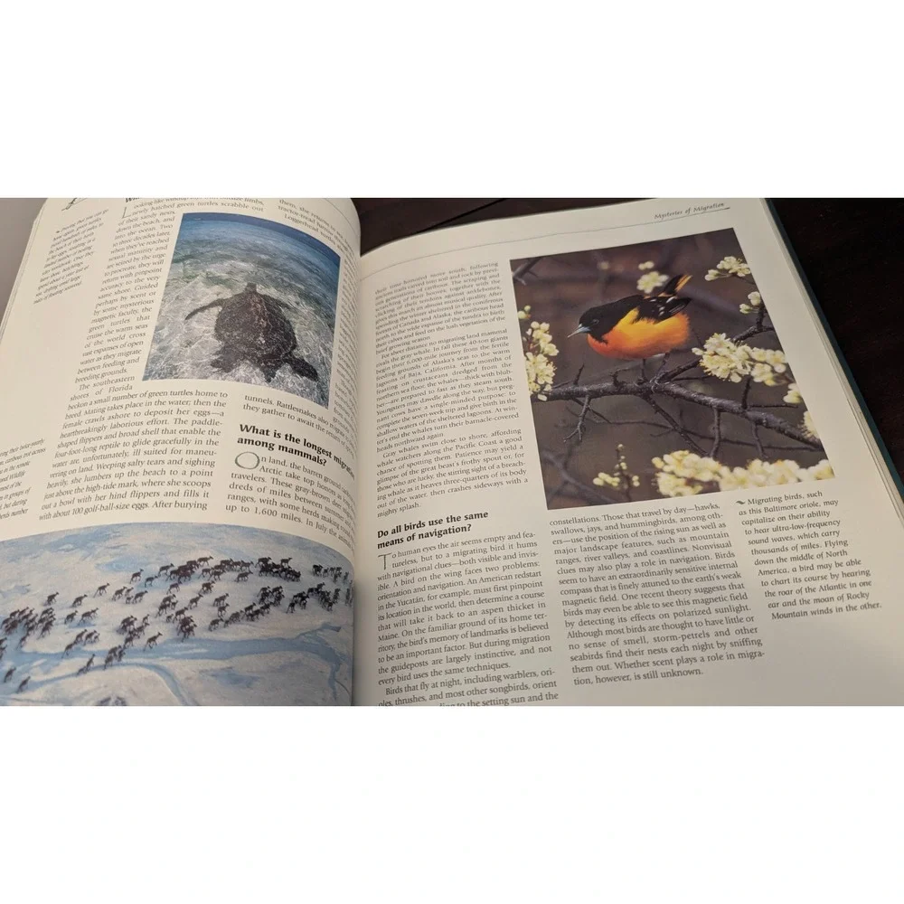 Readers Digest American Nature Our Intriguing Land and Wildlife 1997 HC Book